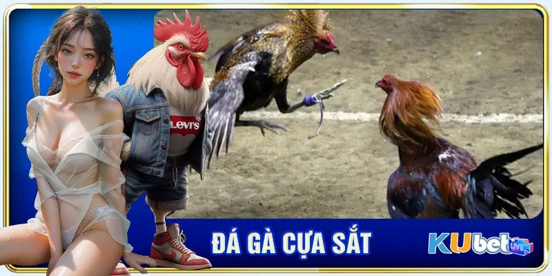 Điểm ưu điểm đặc biệt thu hút